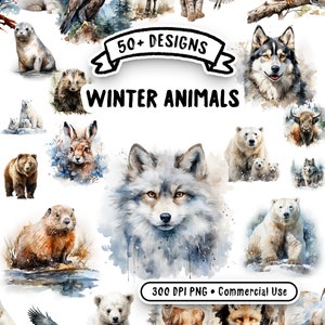 Paquete de imágenes prediseñadas de acuarela de animales de invierno - 57 imágenes transparentes PNG - Alta calidad, descarga instantánea para uso comercial