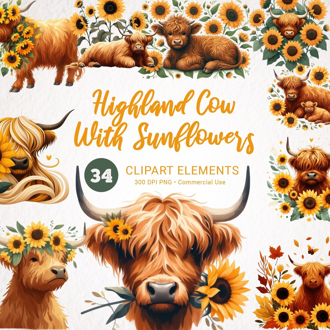 Highland Cow & Sunflowers Watercolor Clipart - 34 PNG Bundle, Rustic ...