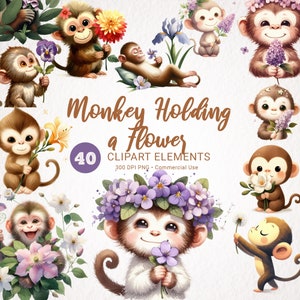 Paquete de imágenes prediseñadas de acuarela de flor de mono - 40 PNG transparentes HQ para uso comercial, imágenes digitales de mono floral, descarga instantánea