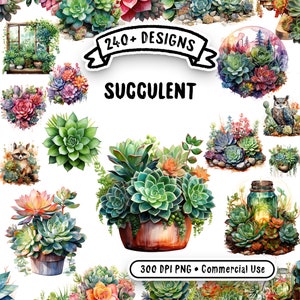 Aquarel succulente megabundel - 242 clipart PNG's, transparante afbeeldingen voor commercieel gebruik, direct downloaden
