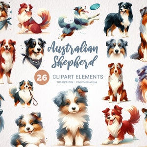 Pacchetto clipart acquerello pastore australiano - 26 PNG trasparenti, illustrazioni di cani per uso commerciale, download istantaneo