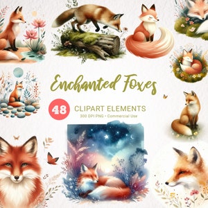 Bundle de cliparts renards - aquarelle mignon renard endormi, prairie, bois, nature printanière, clipart floral avec coquelicots