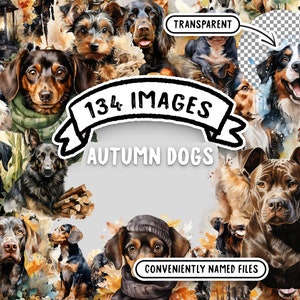 Herfst honden aquarel Mega bundel - 134 hoogwaardige clipart PNG's, seizoensgebonden hondenkunst, transparante afbeeldingen voor commercieel gebruik - Download