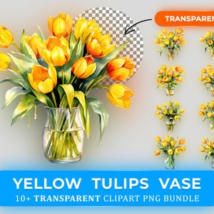 Gele Tulpen Vaas Clipart Bundel - 10+ Hoge Kwaliteit PNGs - Aquarel Transparante Achtergrond Clipart