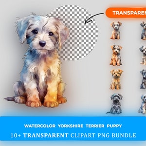 Aquarelle Yorkshire Terrier chiot Clipart Bundle - 10+ PNG transparents