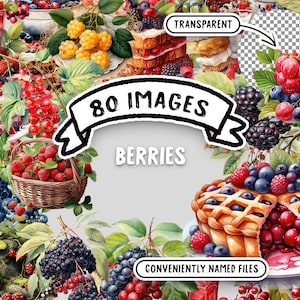 Bundle de cliparts aquarelle baies - 80 images PNG de baies de haute qualité, transparentes, téléchargement immédiat pour un usage commercial