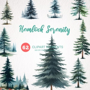 Watercolor Hemlock Tree Clipart - Forest Landscape Art PNG, Beautiful Trees Instant Download, Tree Clipart for Crafting and Design