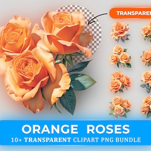Orange Rosen Clipart Bundle PNG | Hochwertige Sublimation Clipart | 10+ Designs