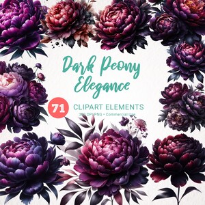 Pfingstrose Clipart Aquarell, Pfingstrosen PNG, Blumen Clipart Aquarell, Schwarz Lila Pfingstrose Illustration, Aquarell Blume PNG