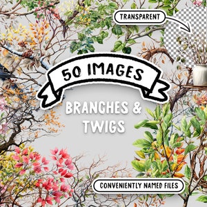 Paquete de imágenes prediseñadas grandes de ramas y ramitas de acuarela - 50 PNG de alta calidad, imágenes transparentes para uso comercial - Descarga instantánea