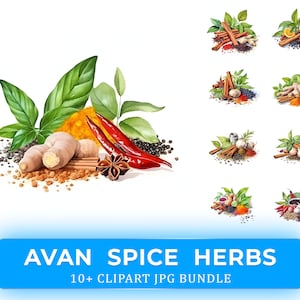 Avan Spice Herbs Watercolor Clipart Bundle - 10+ High Quality JPGs