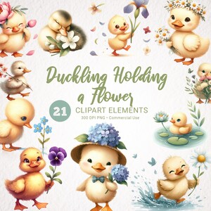 Anatroccolo e fiori acquerello Clipart - 21 PNG Big Bundle, trasparente, alta qualità, download digitale per uso commerciale