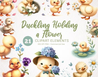 Duckling & Flowers Watercolor Clipart - 21 PNG Big Bundle, Transparent, High Quality, Digital Download for Commercial Use