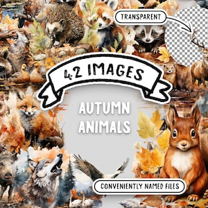 Automne Animaux Aquarelle Clipart Bundle - 42 Images PNG de haute qualité, Transparent, Téléchargement instantané pour un usage commercial