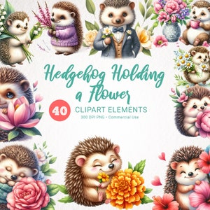 Hérisson tenant des fleurs aquarelle Clipart - 40 PNG Big Bundle, haute qualité, téléchargement instantané, utilisation commerciale