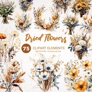 Fleurs séchées Aquarelle Clipart Bundle - 75 Images PNG de bouquets et de plantes vintage, transparentes et de haute qualité pour un usage commercial