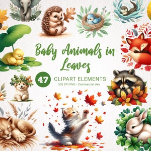 Bébés animaux et feuilles Aquarelle Clipart - 47 PNG de haute qualité, Big Bundle, Téléchargement instantané pour un usage commercial