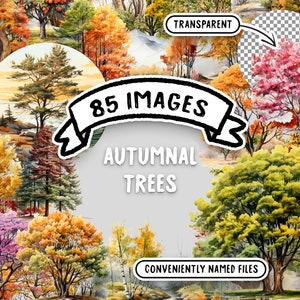 Paquete de imágenes prediseñadas de acuarela de árboles otoñales - 85 PNG de otoño de alta calidad, descarga digital, uso comercial