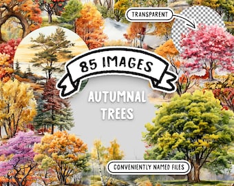 Op de afbeelding: Een digitale collage van 85 afbeeldingen van herfstbomen met transparante achtergronden. De afbeeldingen zijn handig benoemde bestanden. De tekst "85 IMAGES AUTUMNAL TREES" staat in een zwarte banner met een witte omtrek. De tekst "TRANSPARENT" staat in een witte rechthoek met een zwarte omtrek. De tekst "CONVENIENTLY NAMED FILES" staat in een witte rechthoek met een zwarte omtrek.