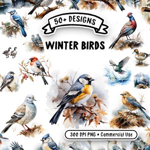 Wintervögel Aquarell Clipart Bundle - 52 transparente PNG-Bilder, hochwertige Winterszenen, digitaler Download für den kommerziellen Gebrauch