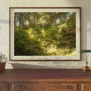 May include: A framed photograph of a lush green forest with sunlight streaming through the trees. The photo is hanging on a white wall above a wooden desk with a lamp.