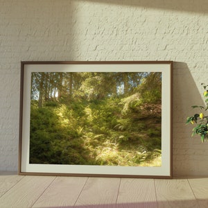 May include: A framed photograph of a lush green forest with sunlight filtering through the trees. The frame is brown wood and the photo is printed on white paper.