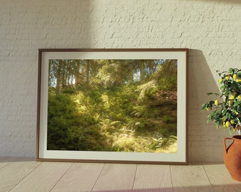 Fotoafdruk van een zonnig bos | Muurdecoratie met bosmotief, rustgevende natuurfoto
