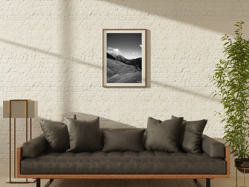 Op de afbeelding: Een grijze bank met donkergrijze kussens staat voor een witte bakstenen muur. Een zwart-witte ingelijste foto van een berglandschap hangt aan de muur. Een groene plant staat in een pot op een kleine tafel rechts van de bank.