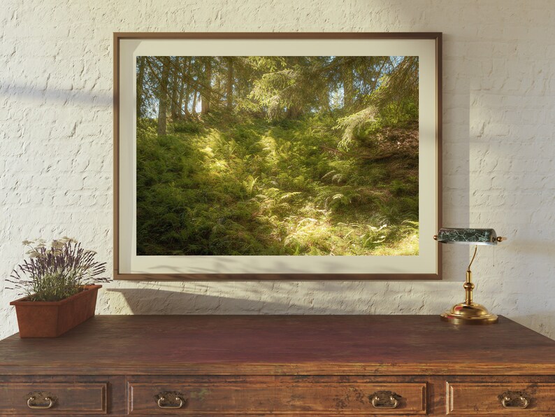 May include: A framed photograph of a lush green forest with sunlight streaming through the trees. The photo is hanging on a white wall above a wooden desk with a lamp.