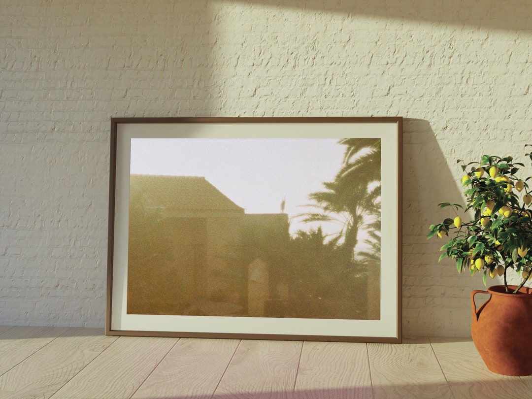Fuerteventura palm tree golden hour print, 35mm film