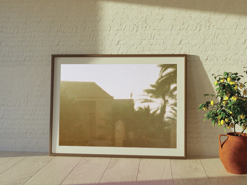 Op de afbeelding: Een ingelijste foto van een gebouw met een palmboom op de achtergrond. De foto is in een bruin frame en hangt aan een witte bakstenen muur. Op de voorgrond staat een gepotte citroenboom.