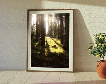 Forest Calling: Natuurfotografie Fine Art Print | Serene bosopheldering