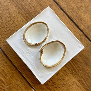 Puede incluir: Dos conchas blancas con borde dorado sobre un plato cuadrado blanco texturizado. Las conchas tienen un interior nacarado. El plato está sobre una superficie de madera. Este conjunto decorativo es ideal para la decoración costera.