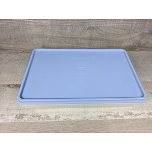 Può includere: Un contenitore rettangolare con coperchio in plastica azzurro e base traslucida. Il coperchio presenta il marchio Tupperware in rilievo e un design circolare centrato. Il contenitore è piatto ed è progettato per la conservazione degli alimenti.