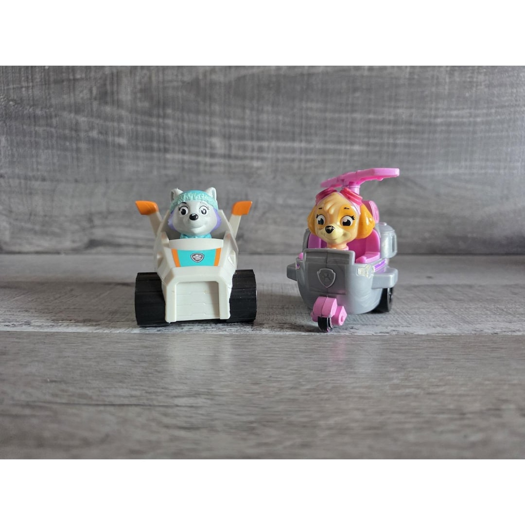 Skye's Rescue Racer Helicopter & Everest Paw Patrol Rescue Racer G40 - Etsy