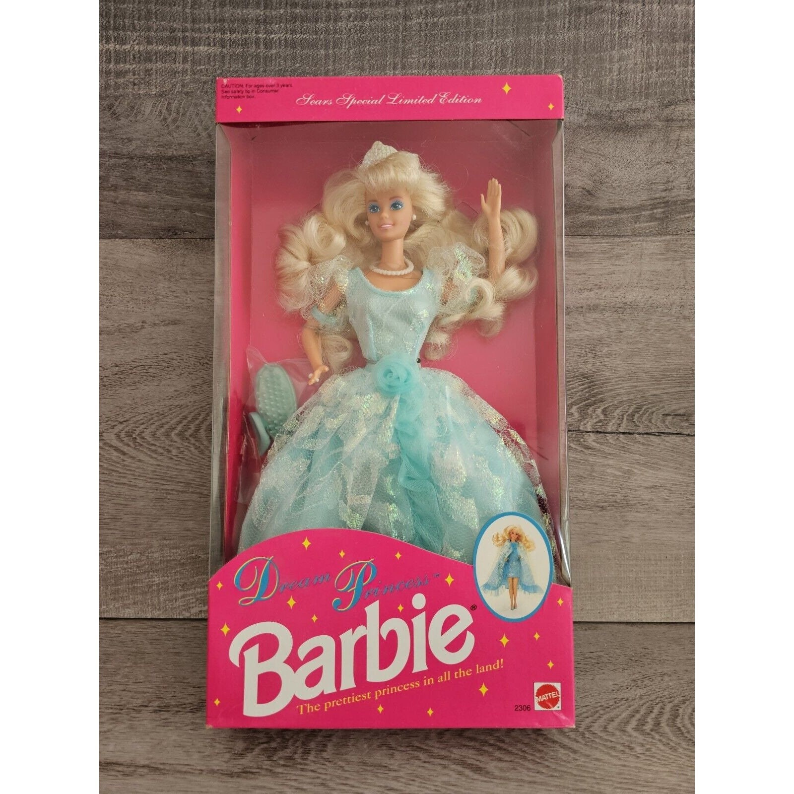 Barbie's Dream of Being a Princess