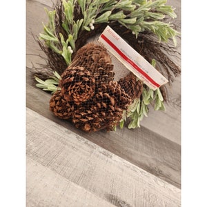 Pinecones Ashland Crafting Christmas Cinnamon Scented 3 Dry Quarts Bag NEW