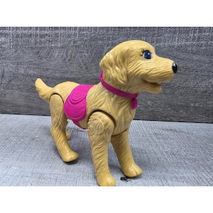 Barbie Promenade de chien Poupée Barbie & toutou