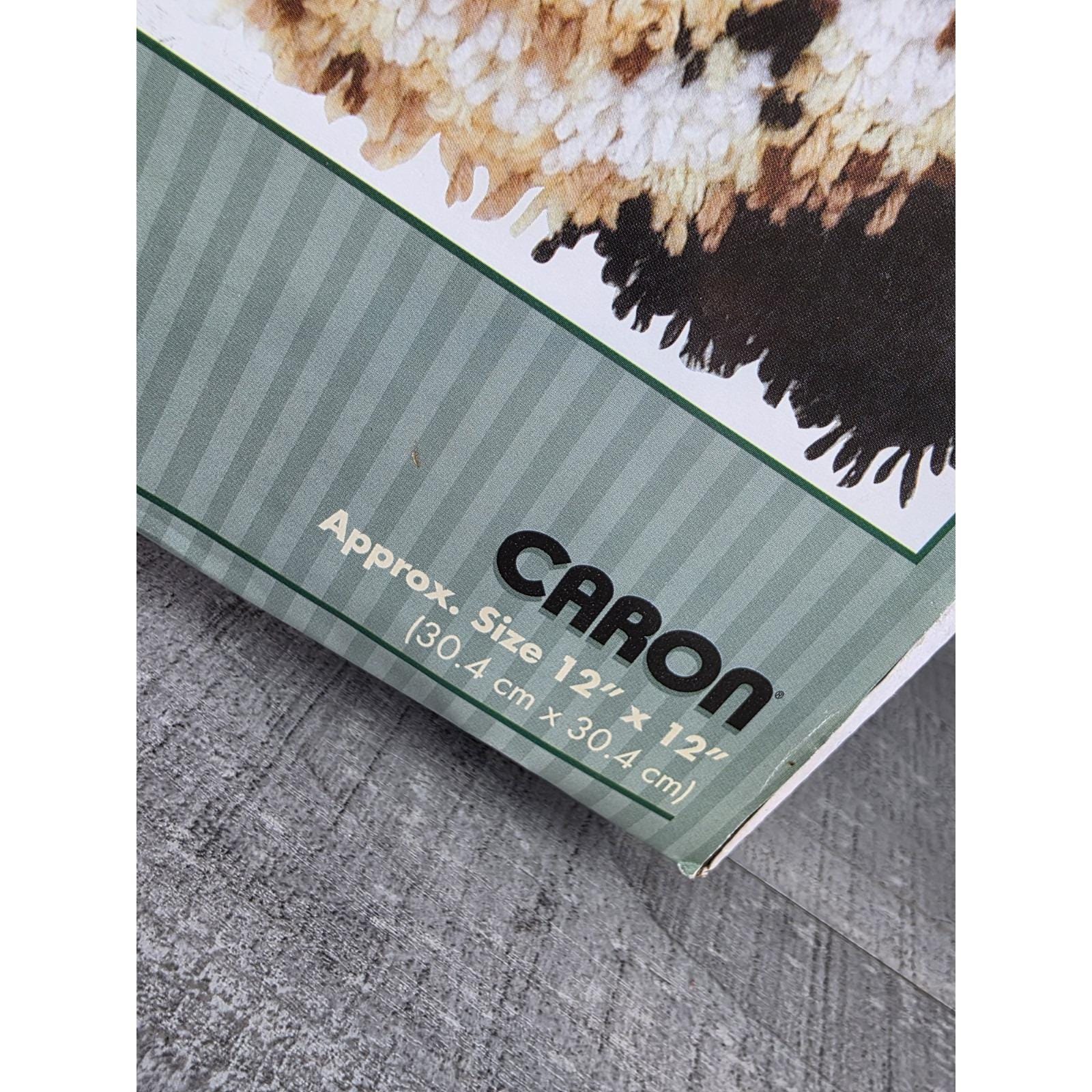 Tabbycat Rugs Caron Natura Tabby Cat Latch Hook Rug Kit #P543 Kitten 12