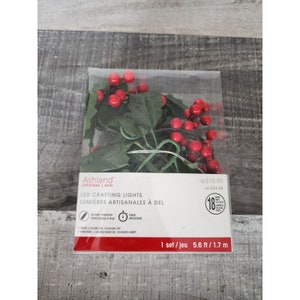 May include: A package of LED crafting lights with red berries and green leaves. The lights are battery operated and have a timer function. The package says "LED Crafting Lights" and "Lumières artisanales à del". The package also says "1 set/jeu 5.6 ft/1.7 m".