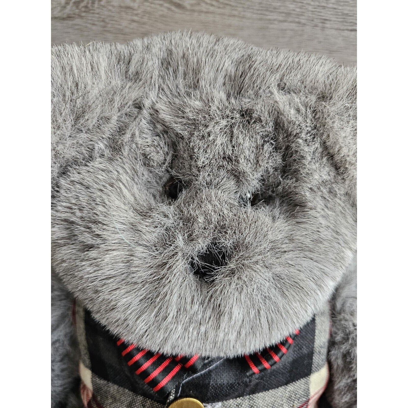 【dsquared2】Travel Lite Teddy Bear Toy Amazon.com : Petface Latex Teddy Bear : Pet Supplies