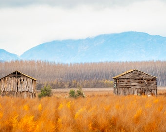 Photography, Fine Art Prints