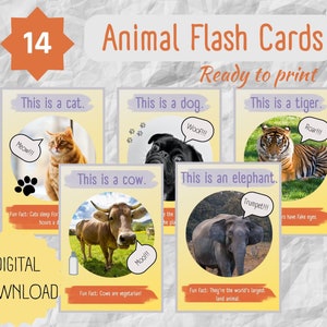Animal Flashcards for Kids, Animals Digital Download set of 14, Animal Classroom Posters, Colorful Animal Posters
