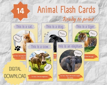Animal Flashcards for Kids, Animals Digital Download set of 14, Animal Classroom Posters, Colorful Animal Posters