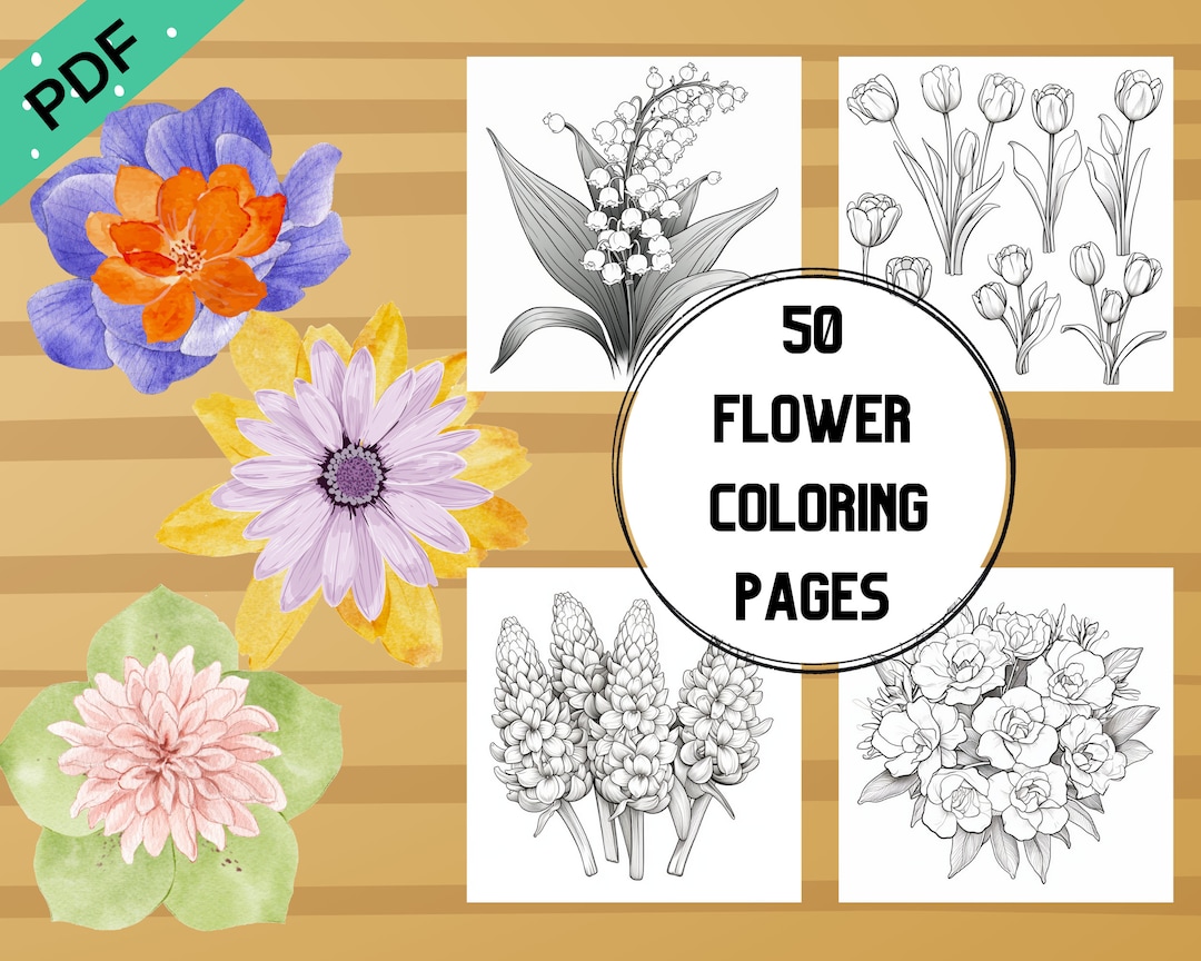 50 Flower Coloring Pages Printable PDF A4 Adult Coloring - Etsy