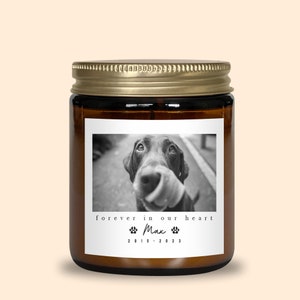 Pet Memorial Candle, Custom Pet Memorial, Loss Of Cat, Pet Memorial Gift, Loss of Dog, Pet Remembrance Gift, Pet Sympathy For Fur Parents