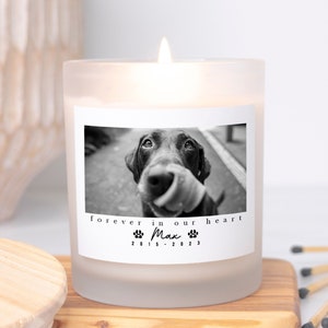  NIWAHO Dog Memorial Gifts for Loss of Pet