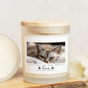 Custom Pet Memorial, Pet Memorial Candle, Loss Of Cat, Pet Memorial Gift, Loss of Dog, Pet Remembrance Gift, Pet Sympathy For Fur Parents