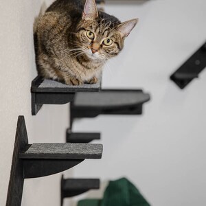 Catwalk various wall elements for cats. The wall-mounted playground for cats. Easy to assemble great fun for cats image 4