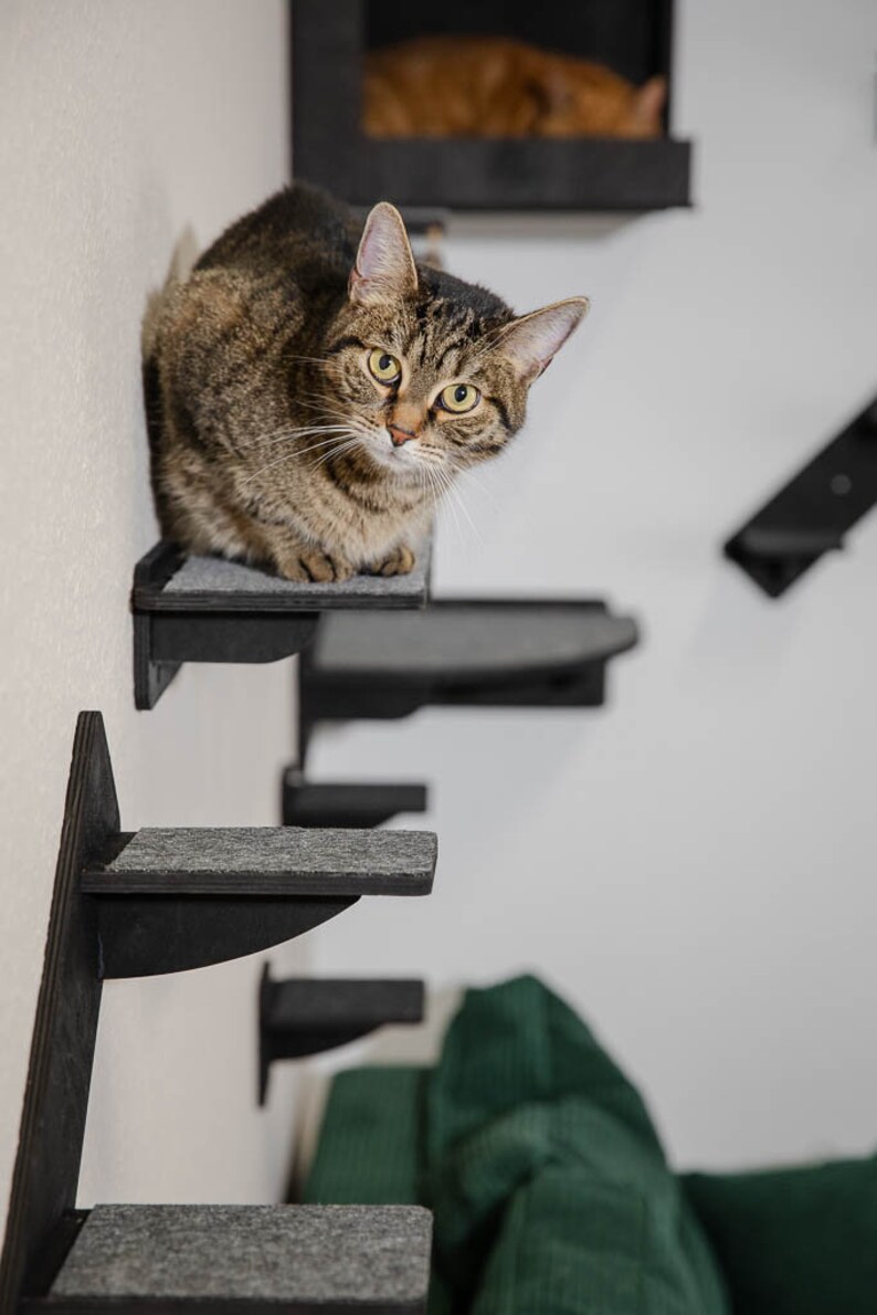 Catwalk various wall elements for cats. The wall-mounted playground for cats. Easy to assemble great fun for cats image 4